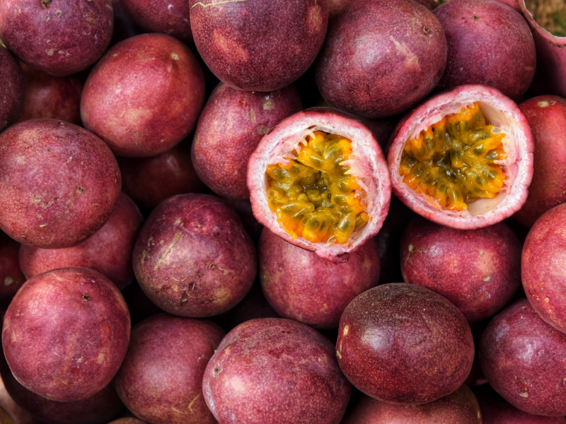 Possum Purple Passionfruit Vine - Just Fruits And Exotics.