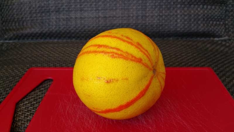 Variegated Minneola Tangelo Tree — Just Fruits and Exotics