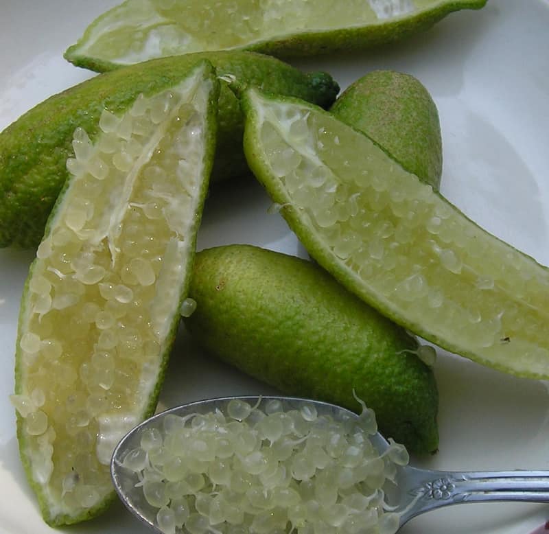 Australian Green Finger Lime