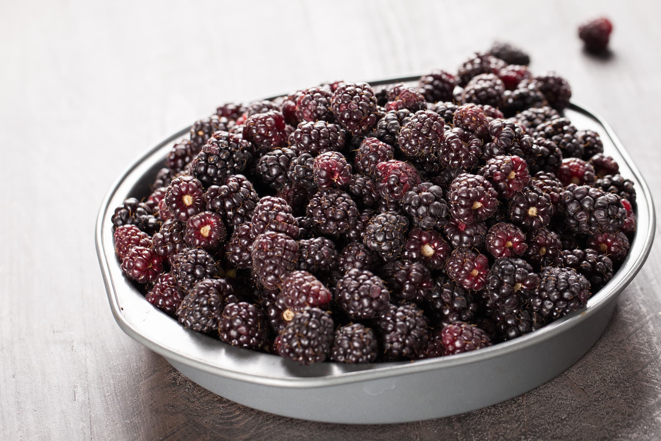 Boysenberry Blackberry Bush • Just Fruits and Exotics