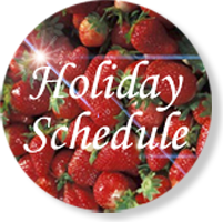 Christmas Holiday Schedule