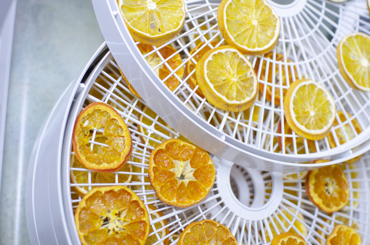 Dried Citrus Decorations for the Holidays • Just Fruits and Exotics