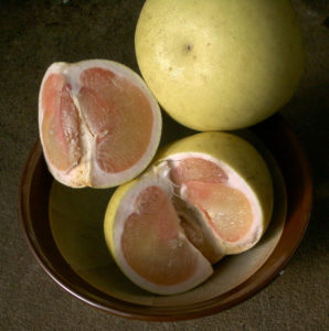 Hirado Butan Pink Pummelo Fruit