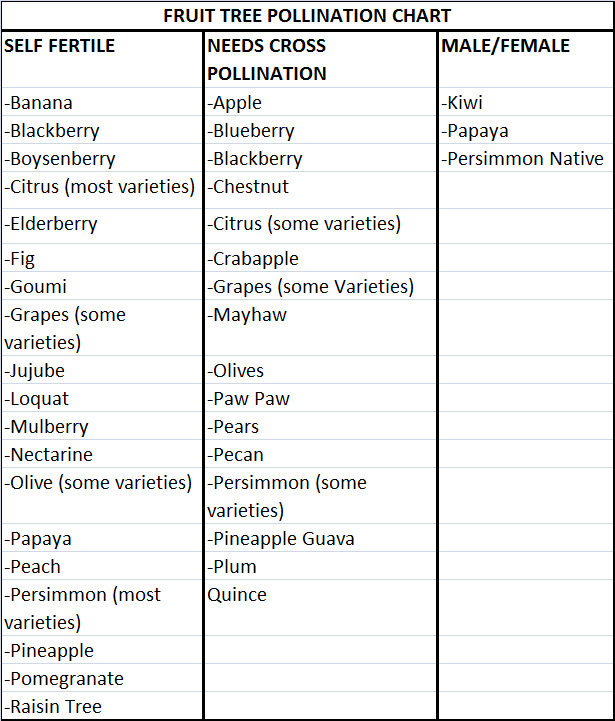 Fruit Pollination Chart