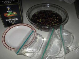 Processing Arbequinia Olives 5