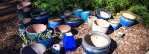 Create your own pottery garden